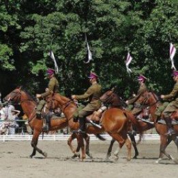 Pokaz kawaleryjski w Łazienkach Królewskich
